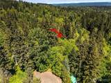 16217 232nd Street Ct - Photo 10