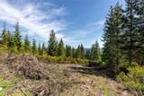 778899 Hamma Ridge Drive - Photo 9