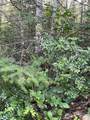 778899 Hamma Ridge Drive - Photo 10