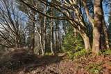 0 XXX Cultus Bay Road - Photo 13