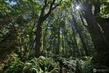 0 XXX Cultus Bay Road - Photo 22