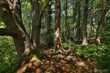 0 XXX Cultus Bay Road - Photo 29