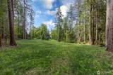 13502 Goodnough Drive - Photo 13