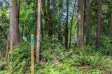 13502 Goodnough Drive - Photo 5