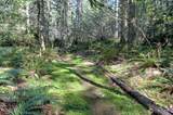 19381 State Highway 3 - Photo 11
