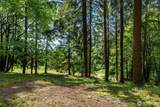 120 Solo Meadows Lane - Photo 10