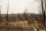 0 Red Feather Lot 16 - Photo 16