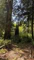 135 Xx 415th Way - Photo 10