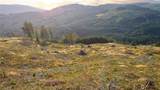 3725 Little Kalama River Road - Photo 18