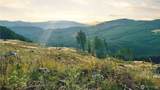 3725 Little Kalama River Road - Photo 29