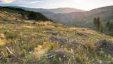 3725 Little Kalama River Road - Photo 30