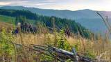 3725 Little Kalama River Road - Photo 8