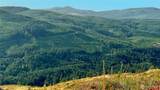 3725 Little Kalama River Road - Photo 10