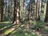 0 Lot 31 Lakeness - Photo 2