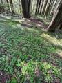 0 Lot 31 Lakeness - Photo 11