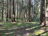 0 Lot 31 Lakeness - Photo 13