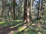 0 Lot 31 Lakeness - Photo 14