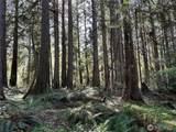 0 Lot 31 Lakeness - Photo 8