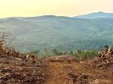 3727 Little Kalama River Road - Photo 20