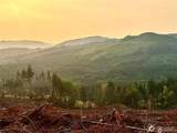 3727 Little Kalama River Road - Photo 3