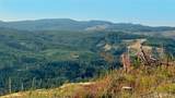 3727 Little Kalama River Road - Photo 8