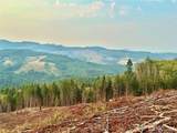3727 Little Kalama River Road - Photo 10
