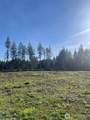 14253 Cloquallum Road - Photo 9