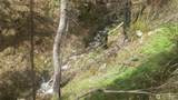 0 Tbd N Fork Salmon Creek Road - Photo 3