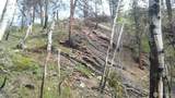 0 Tbd N Fork Salmon Creek Road - Photo 4