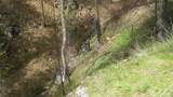 0 Tbd N Fork Salmon Creek Road - Photo 6