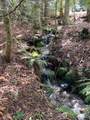 100 Dow Mountain Drive - Photo 4