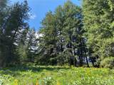 102 Elbow Canyon Road - Photo 9