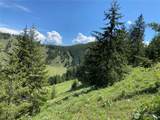 102 Elbow Canyon Road - Photo 10