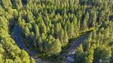 940 Iron Monarch Loop - Photo 11