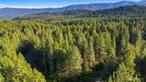 940 Iron Monarch Loop - Photo 26