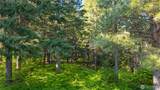 940 Iron Monarch Loop - Photo 8