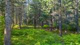 940 Iron Monarch Loop - Photo 9