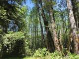 123 Campfire Lane - Photo 21
