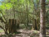 123 Campfire Lane - Photo 26