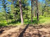 7 Summit View At Wallace Ranch - Photo 11