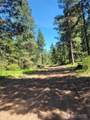 7 Summit View At Wallace Ranch - Photo 13