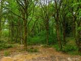 0 314th Circle - Photo 15