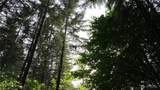 0 Finalburg Road - Photo 15