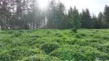 0 Finalburg Road - Photo 18