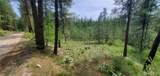 6 Lot Okanogan River Ranches Div 1 - Photo 7