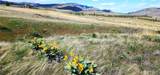 1 Washington Creek Road - Photo 25