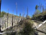 123 TBD Buzzard Lake Road - Photo 11