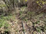 123 TBD Buzzard Lake Road - Photo 9