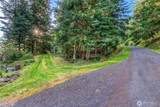 0 Lot 27 Georgia Strait Lane - Photo 24