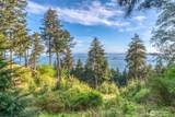 0 Lot 27 Georgia Strait Lane - Photo 8